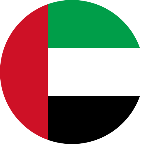 UAE flag